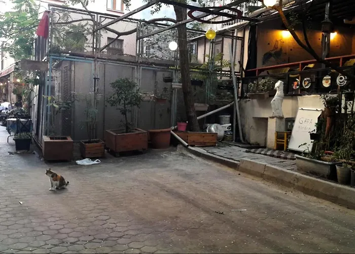 Gafa Garden & Apartments - Great LocationHostel